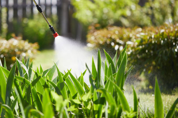 24/7 Emergency Fumigation Services experts in Chillicothe, MO